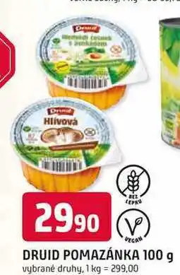 Trefa DRUID POMAZÁNKA 100 g nabídka