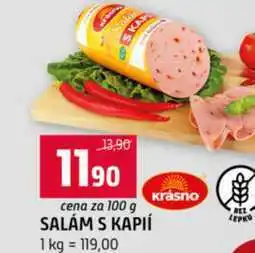 Terno SALÁM S KAPIÍ 100g nabídka