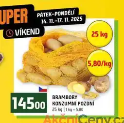 Terno BRAMBORY KONZUMNÍ POZDNÍ 25 kg nabídka