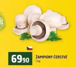 Terno Žampiony 1 kg nabídka