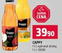 Terno CAPPY 1l vybrané druhy nabídka
