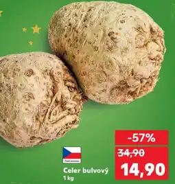 Kaufland Celer bulvový nabídka