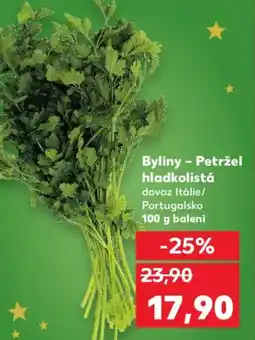 Kaufland Byliny - Petržel hladkolistá nabídka