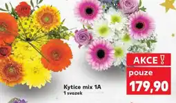 Kaufland Kytice mix 1A nabídka