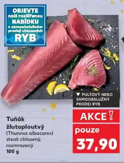 Kaufland Tuňák žlutoploutvý nabídka