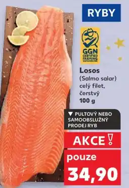 Kaufland Losos nabídka