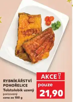 Kaufland RYBNÍKÁŘSTVÍ POHOŘELICE Tolstolobik uzený nabídka