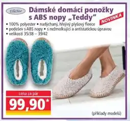 Norma Dámské domácí ponožky s ABS nopy „Teddy“ nabídka