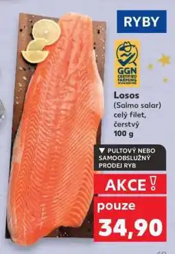 Kaufland Losos (Salmo salar) celý filet, čerstvý nabídka