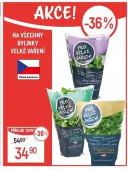 Globus Bylinky Velké Vaření nabídka