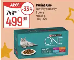 Globus Purina ONE Kapsičky pro kočky nabídka