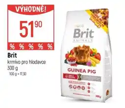 Globus Brit krmivo pro hlodavce 300 g nabídka