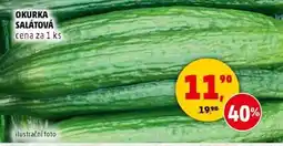 Penny Market Okurka salátová nabídka