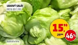 Penny Market Ledový salát nabídka