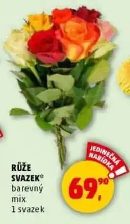 Penny Market Růže svazek barevný mix nabídka