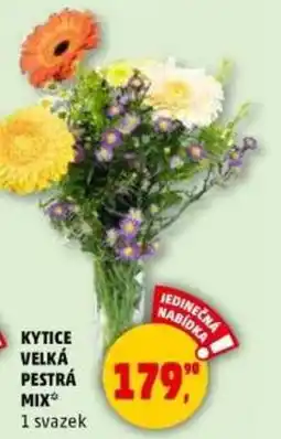 Penny Market Kytice velká pestra mix nabídka