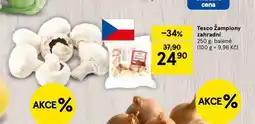 Tesco Žampiony zahradní nabídka