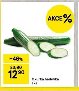 Tesco Okurka hadovka nabídka