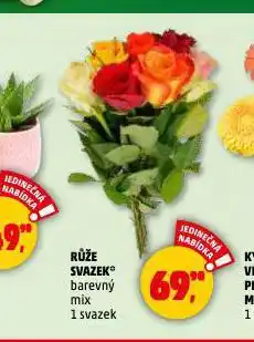 Penny Market Růže svazek nabídka