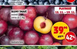 Penny Market Blumy tmavé nabídka