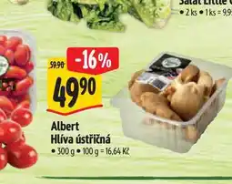 Albert Albert Hlíva ústřičná 300 g nabídka
