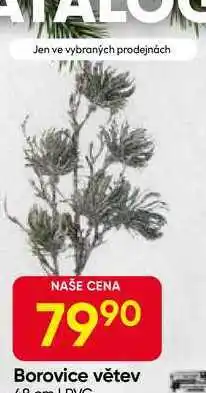 Hruška Borovice větev 60cm, PVC nabídka