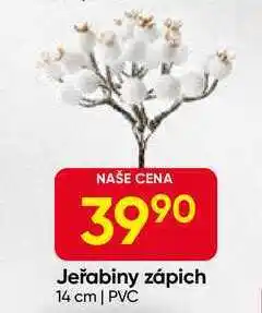 Hruška Jeřabiny zápich 14 cm, PVC nabídka