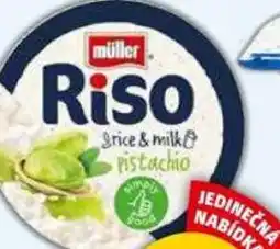 Penny Market Mléčná rýže riso nabídka