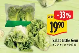Albert Salát Little Gem nabídka