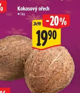 Albert Kokosový ořech nabídka