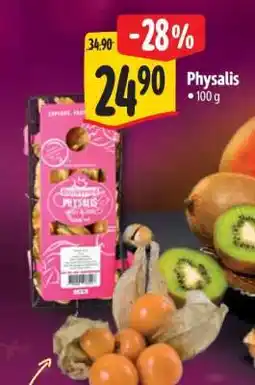 Albert Physalis nabídka