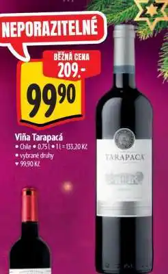 Albert Viña Tarapacá nabídka