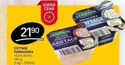 Flop COTTAGE POMAZÁNKA různé druhy 100 g nabídka