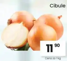 Kubík potraviny Cibule nabídka