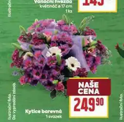 Billa Kytice barevná nabídka