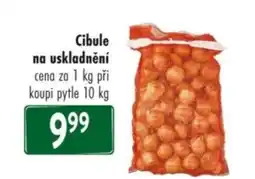 Qanto Cibule na uskladnění nabídka