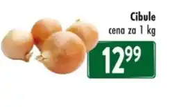 Qanto Cibule nabídka