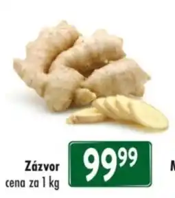 Qanto Zázvor nabídka