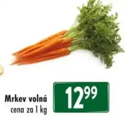 Qanto Mrkev volná nabídka