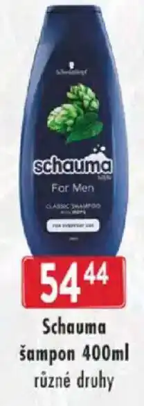 Astur&Qanto Schauma šampon nabídka