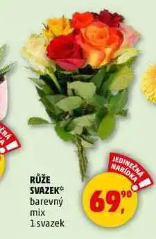 Penny Market RŮŽE SVAZEK, 1 svazek nabídka