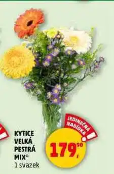 Penny Market KYTICE VELKÁ PESTRÁ, 1 svazek nabídka