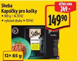 Albert Sheba Kapsičky pro kočky nabídka