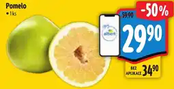 Albert Pomelo nabídka