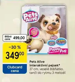 Tesco Pets Alive Interaktivní pejsek, 27 cm, veselé štěňátko. tančí do rytmu 3 melodií nabídka