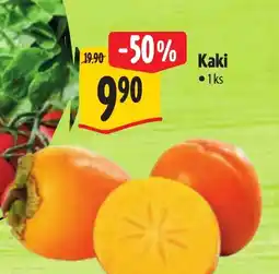 Albert Kaki nabídka