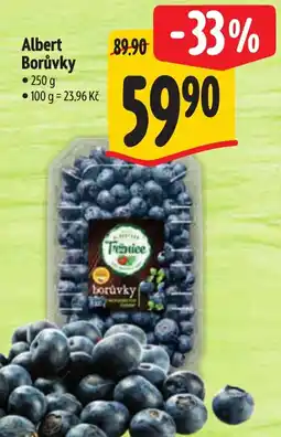 Albert Albert Borůvky nabídka