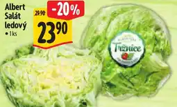 Albert Albert Salát ledový nabídka