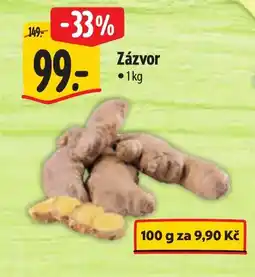 Albert Zázvor nabídka