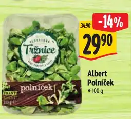 Albert Albert Polníček nabídka